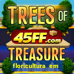 floricultura em franca sp